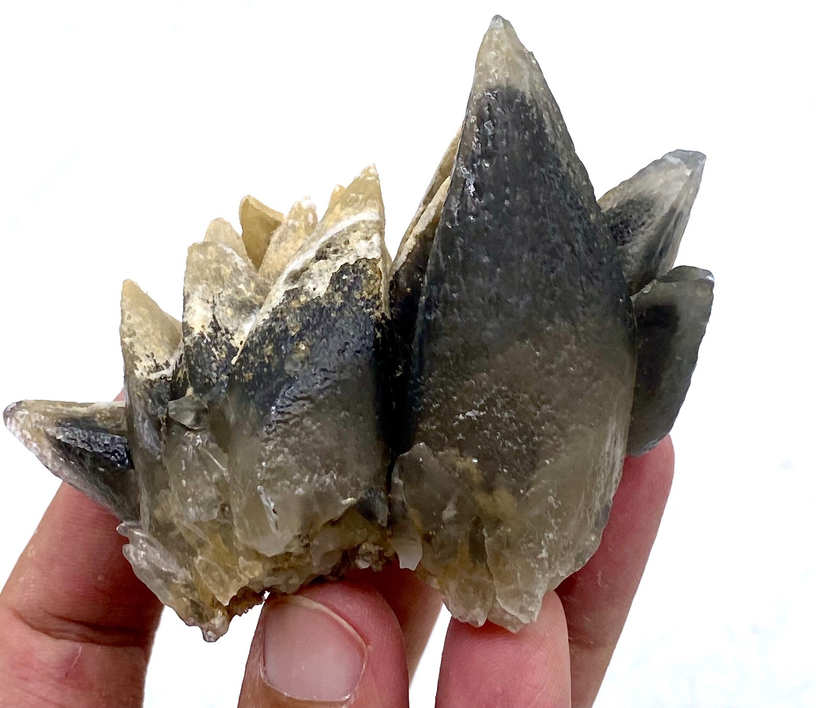 Natural Dogtooth Calcite Cluster – Natural Calcite Crystal Specimen | Rare Black Natural Dogtooth Calcite Cluster – Natural Calcite Crystal Specimen | Rare Black