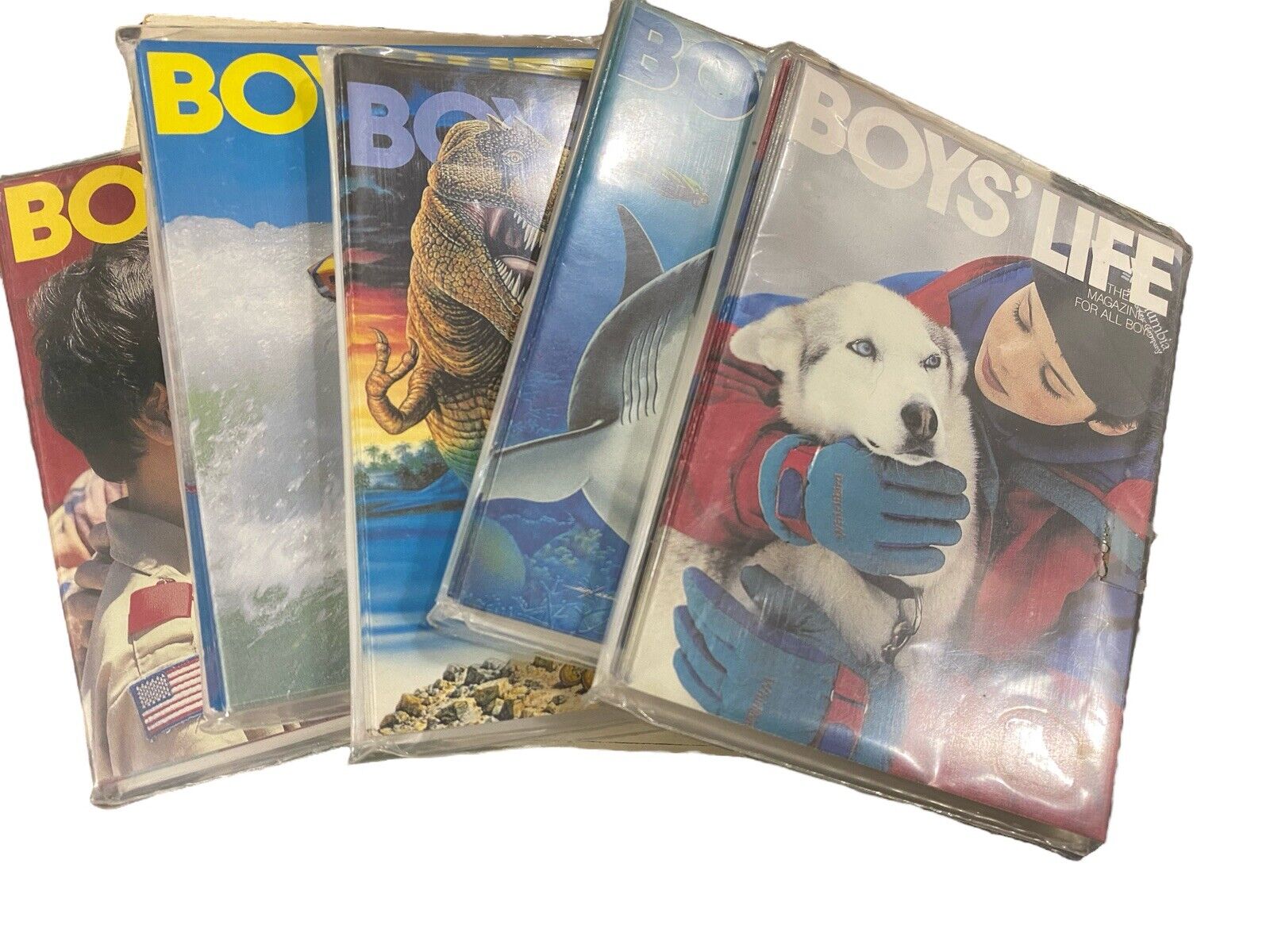 Boy Scout Of America Boys Life Magazine Cover Blank Notecards (5)