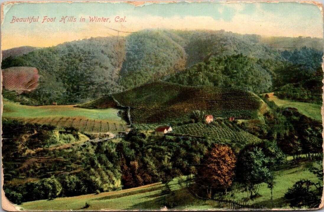 Postcard Beautiful Foot Hills in Winter San Jose Cal 1910