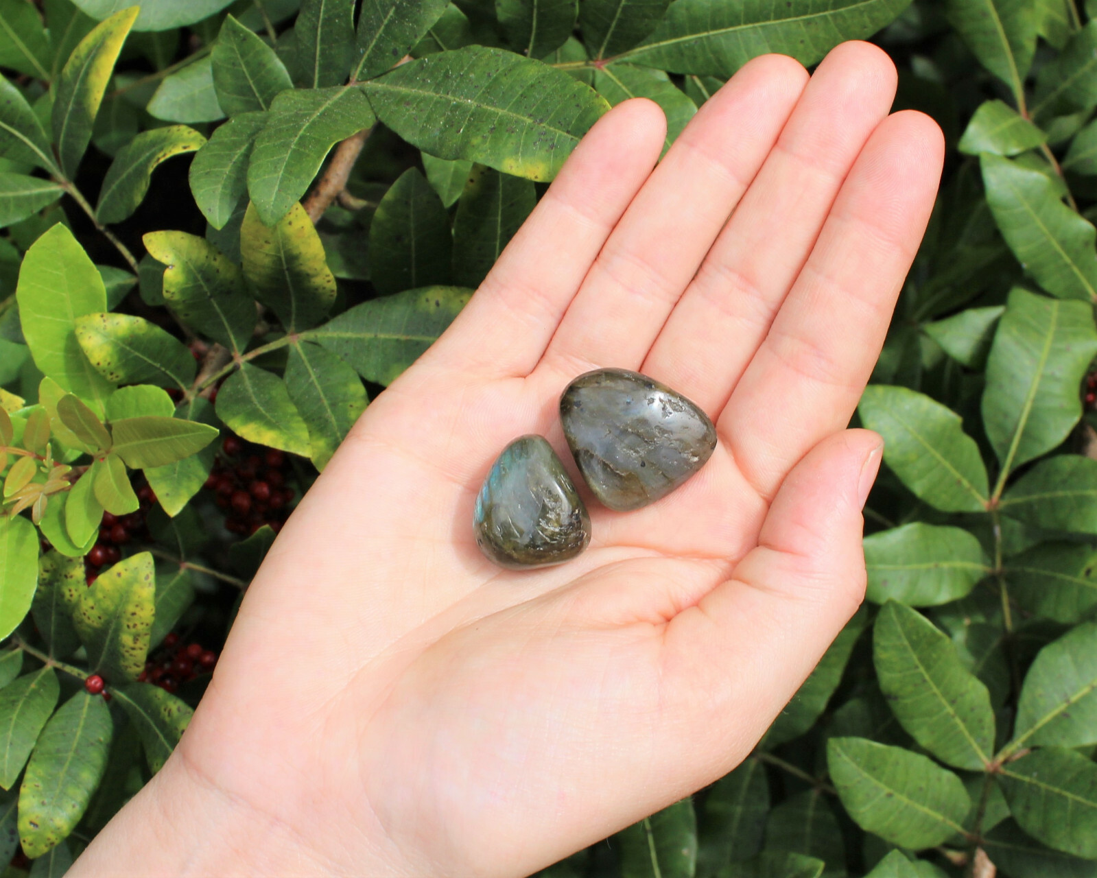 2 Labradorite Tumbled Stones: 'A' Grade Natural Polished Crystals