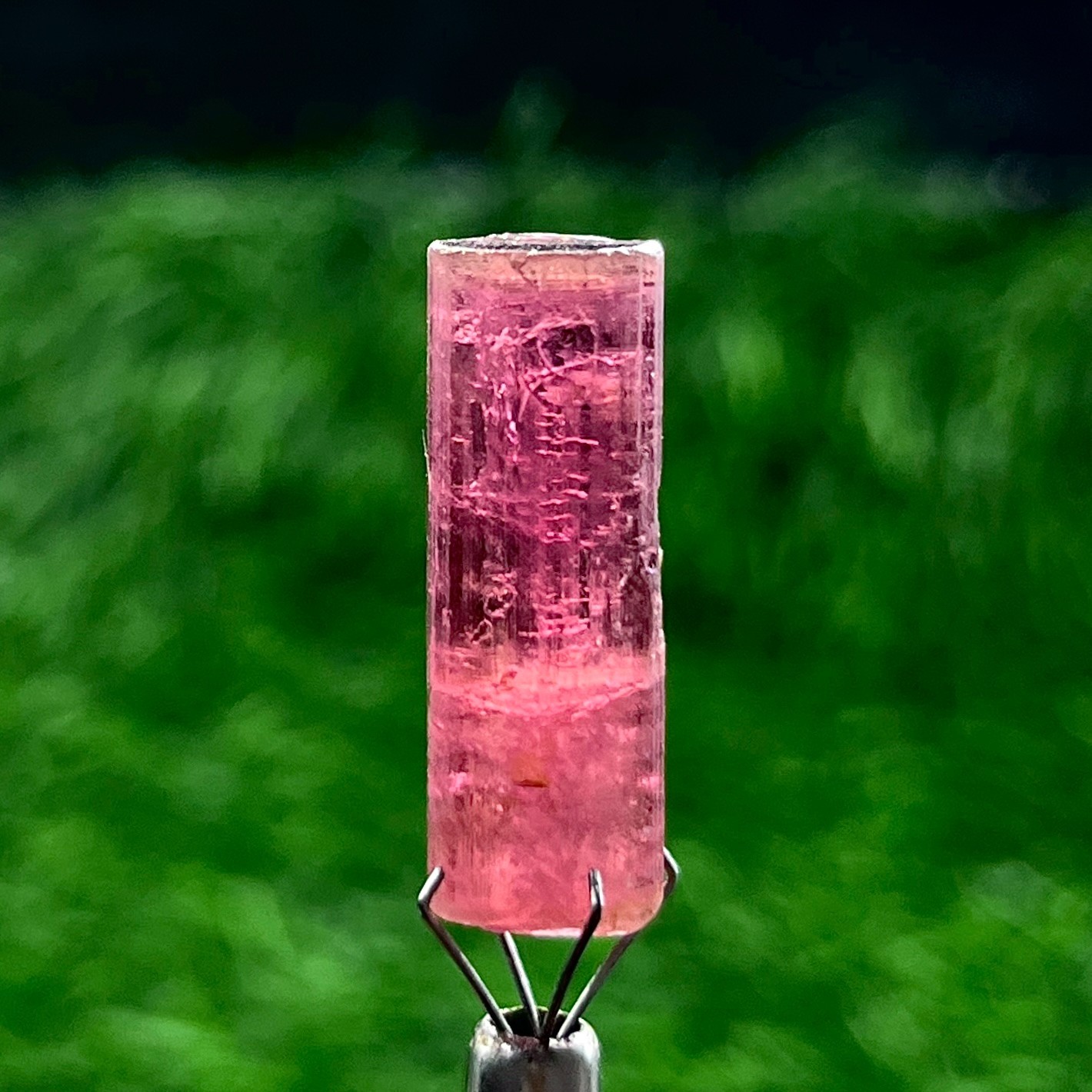 23 Cts Rare Big Pink Tourmaline Pencil Crystal Rough 27x9 mm Collector Mineral