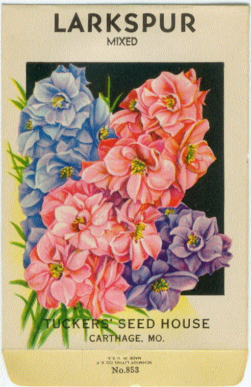 LARKSPUR Vintage Flower Seed Packet \ LARKSPUR Vintage Flower Seed Packet \