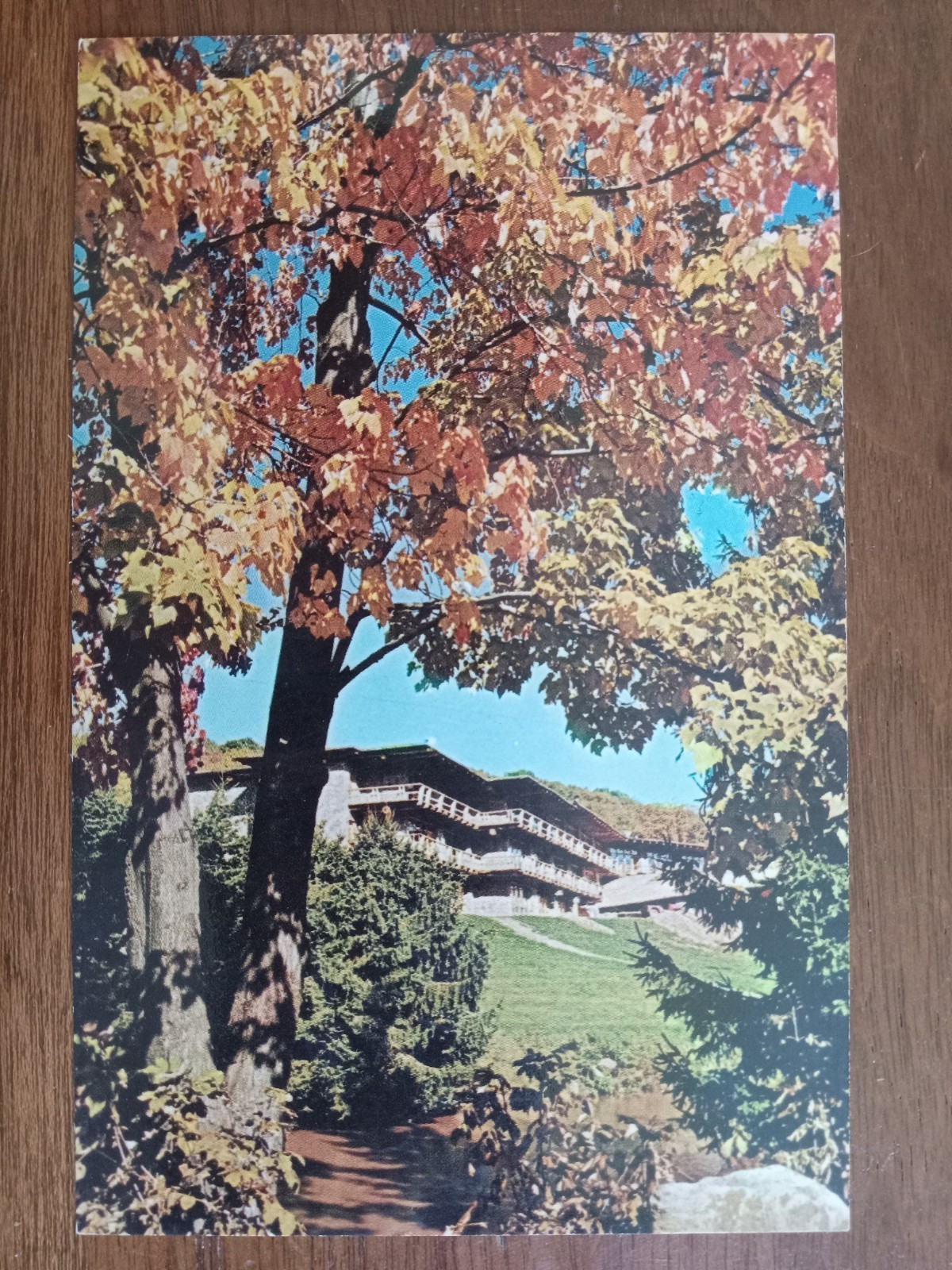 c1960s Seven Springs Mountain Resort, Champion, Fayette County, PA, ski lodge c1960s Seven Springs Mountain Resort, Champion, Fayette County, PA, ski lodge