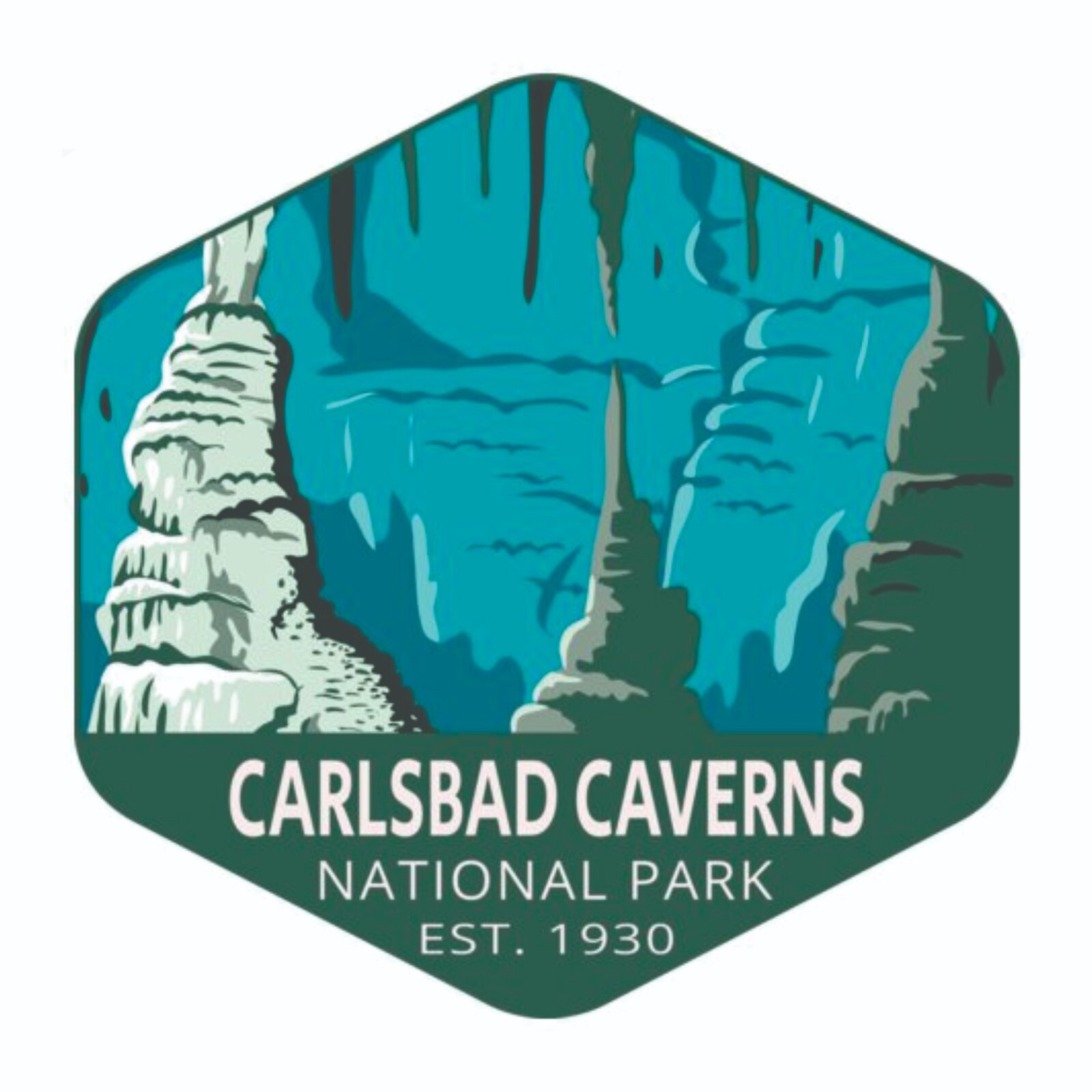Carlsbad Cavern National Park Sticker New Mexico National Park Decal Carlsbad Cavern National Park Sticker New Mexico National Park Decal
