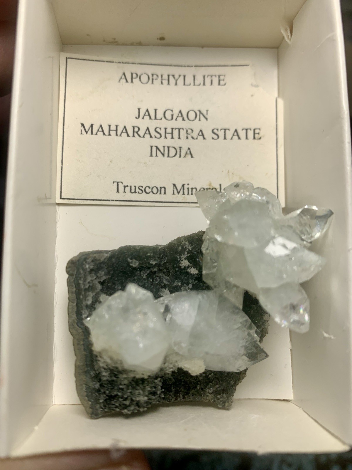 Apophyllite Crystal Cluster On Matrix-Jalgaon, India (Truscon Minerals Label) Apophyllite Crystal Cluster On Matrix-Jalgaon, India (Truscon Minerals Label)
