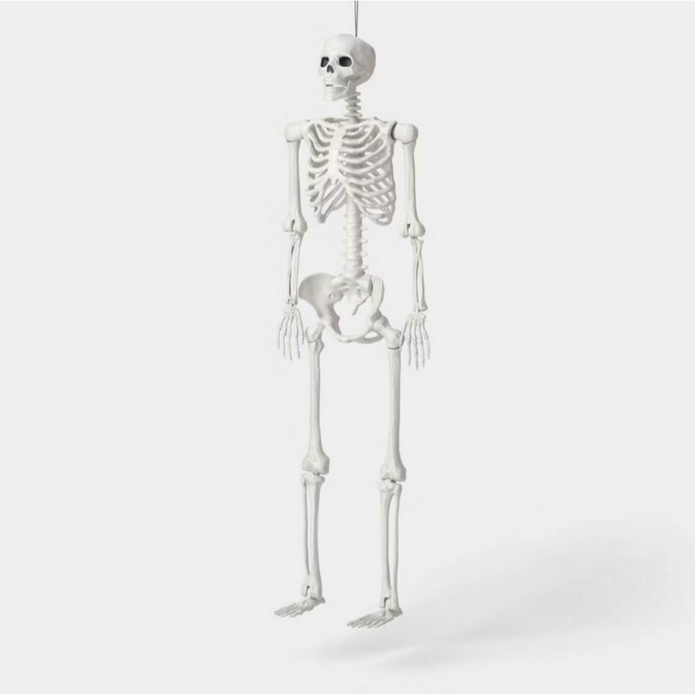 60 60