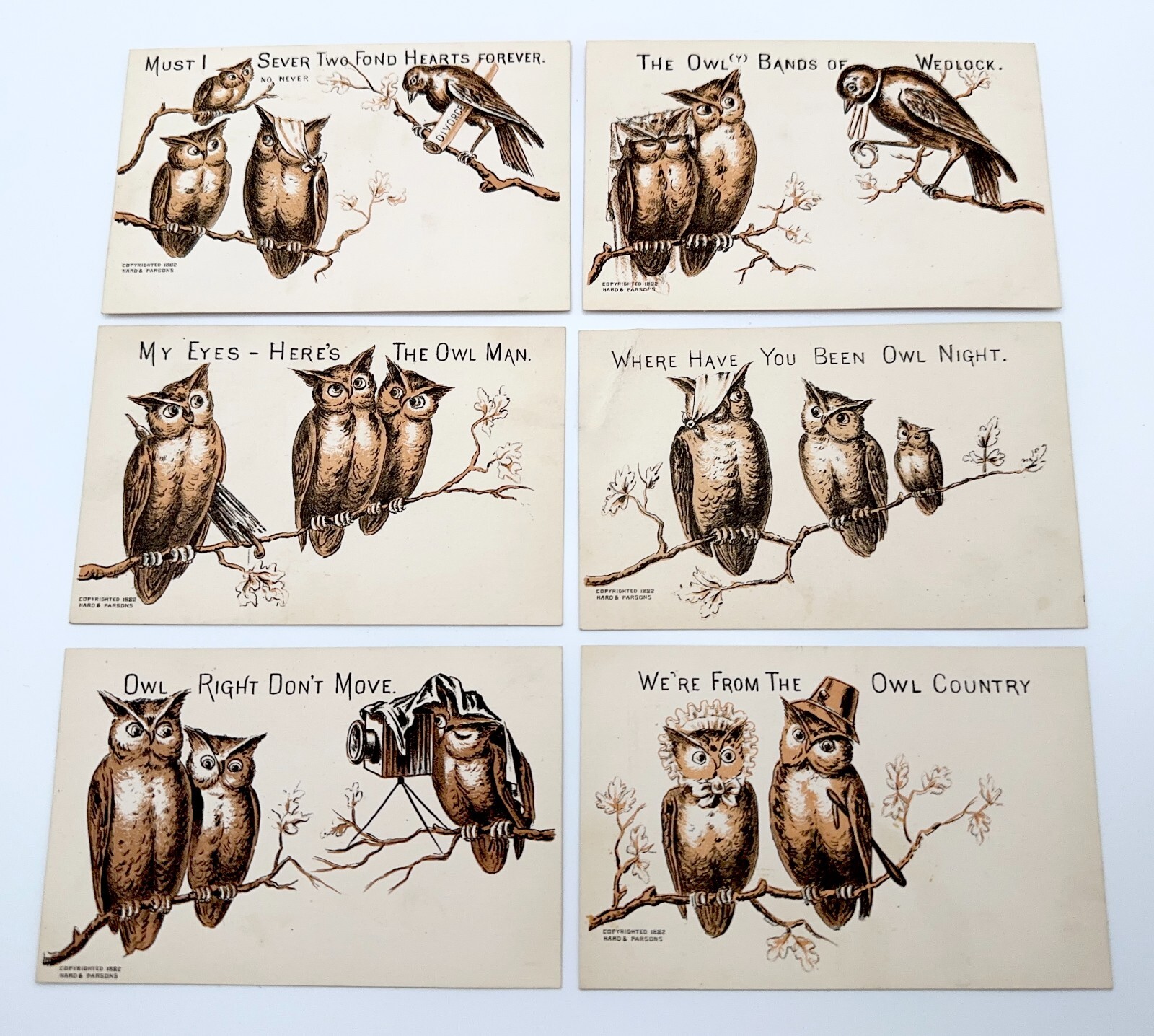 Victorian 1882 Hard & Parsons Trade Cards Set of 6 Owls Play on Words Cute Victorian 1882 Hard & Parsons Trade Cards Set of 6 Owls Play on Words Cute