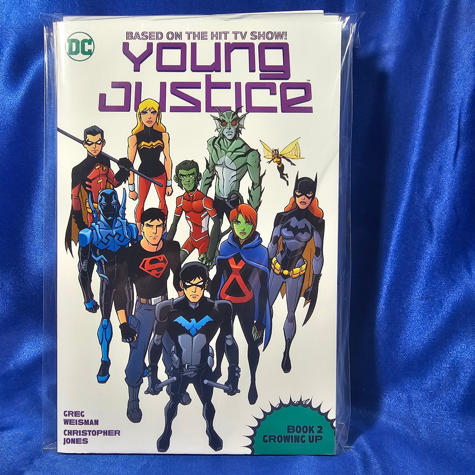 YOUNG JUSTICE BOOK 2: GROWING UP (DC 2021 TPB TP SC ~ Animated Series) YOUNG JUSTICE BOOK 2: GROWING UP (DC 2021 TPB TP SC ~ Animated Series)