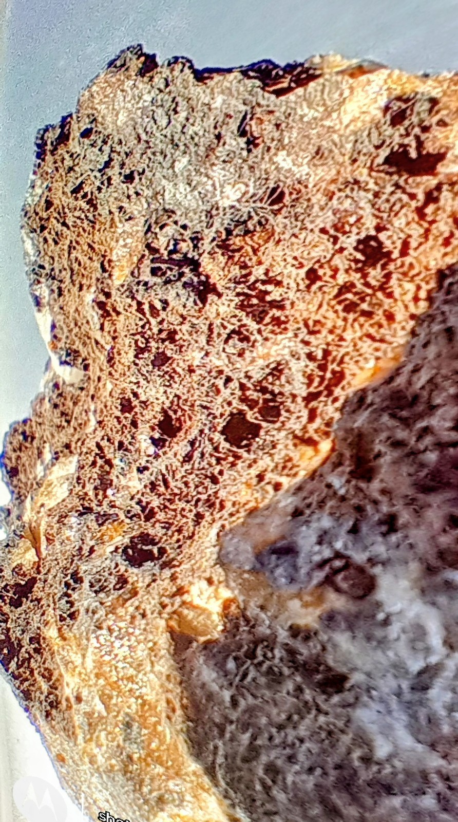 10 Lb High Grade California Gold Ore 10 Lb High Grade California Gold Ore