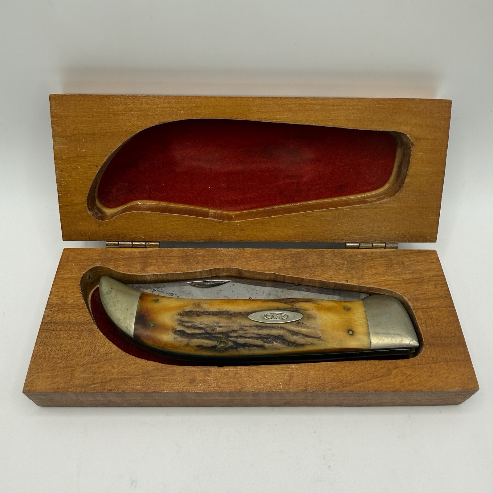 Vintage Case XX 5172 Bulldog Stag Folding Knife 1965-69 USA Wood Box