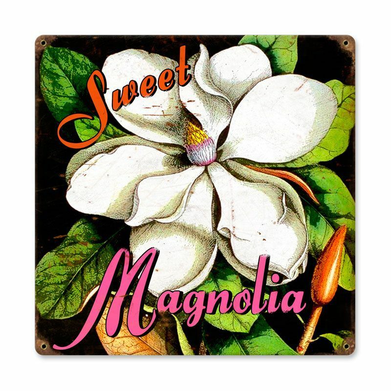 SWEET MAGNOLIA FLORAL DESIGN 12\ SWEET MAGNOLIA FLORAL DESIGN 12\