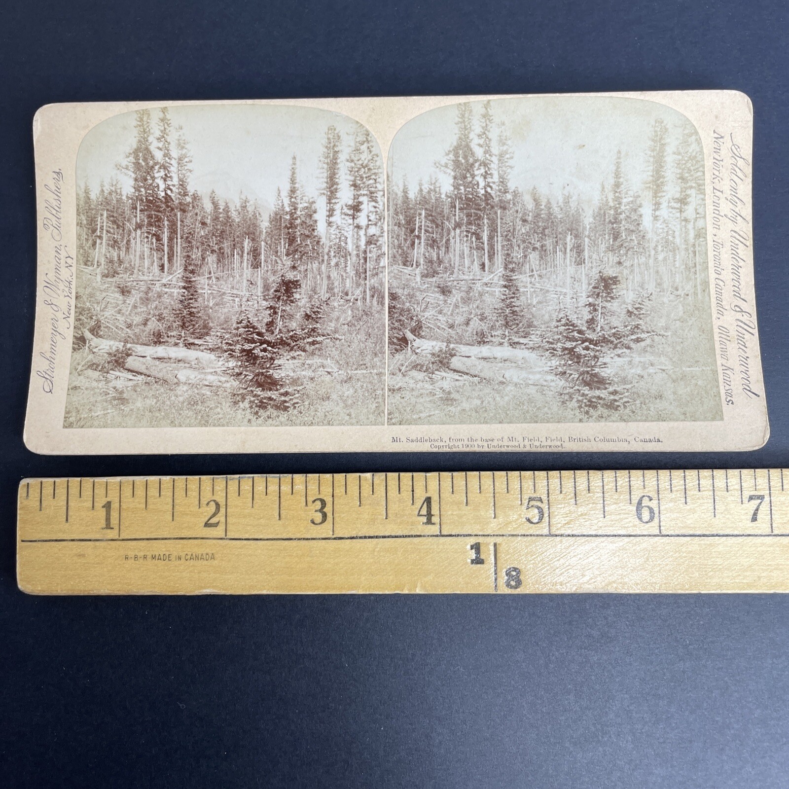 Mt. Saddleback Stereoview Underwood & Underwood 1900 British Columbia Canada