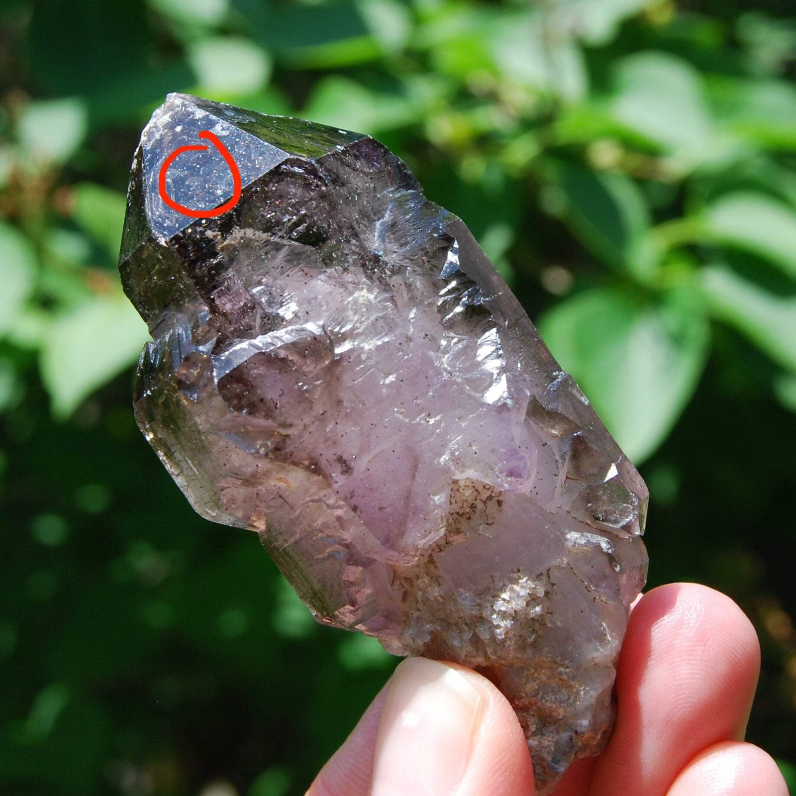 DT ET Elestial Enhydro Amethyst Quartz Crystal Scepter 3.2in 113g Zimbabwe - Sto