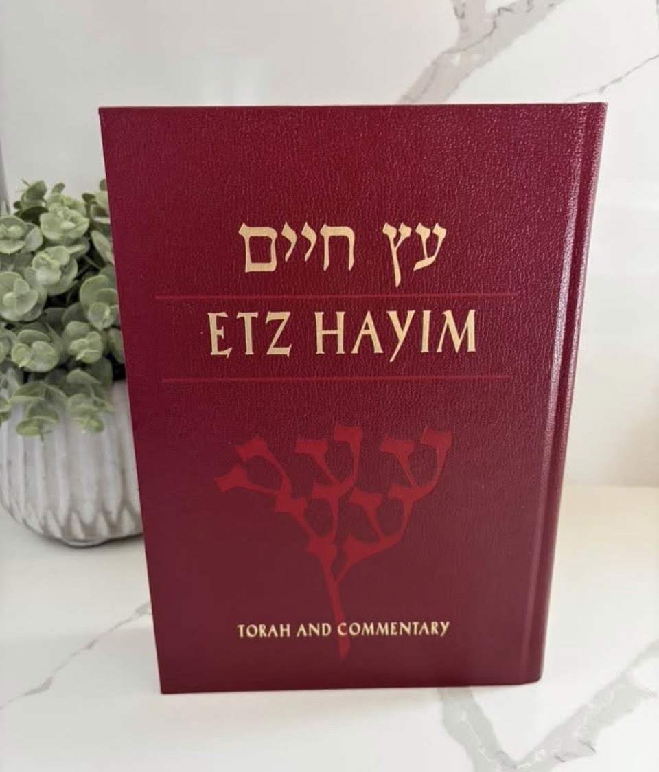 Vintage Etz Hayim Torah Commentary Rabbinical Assembly JPS Hardcover 2001
