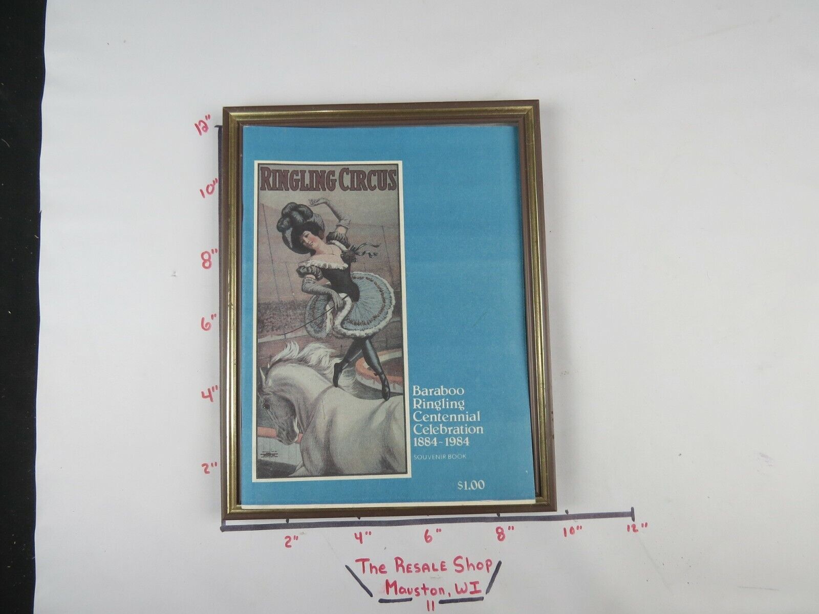 Vintage Collectible Ringling Circus 100 Yrs Book 1884-1984 Framed (Sterilized)