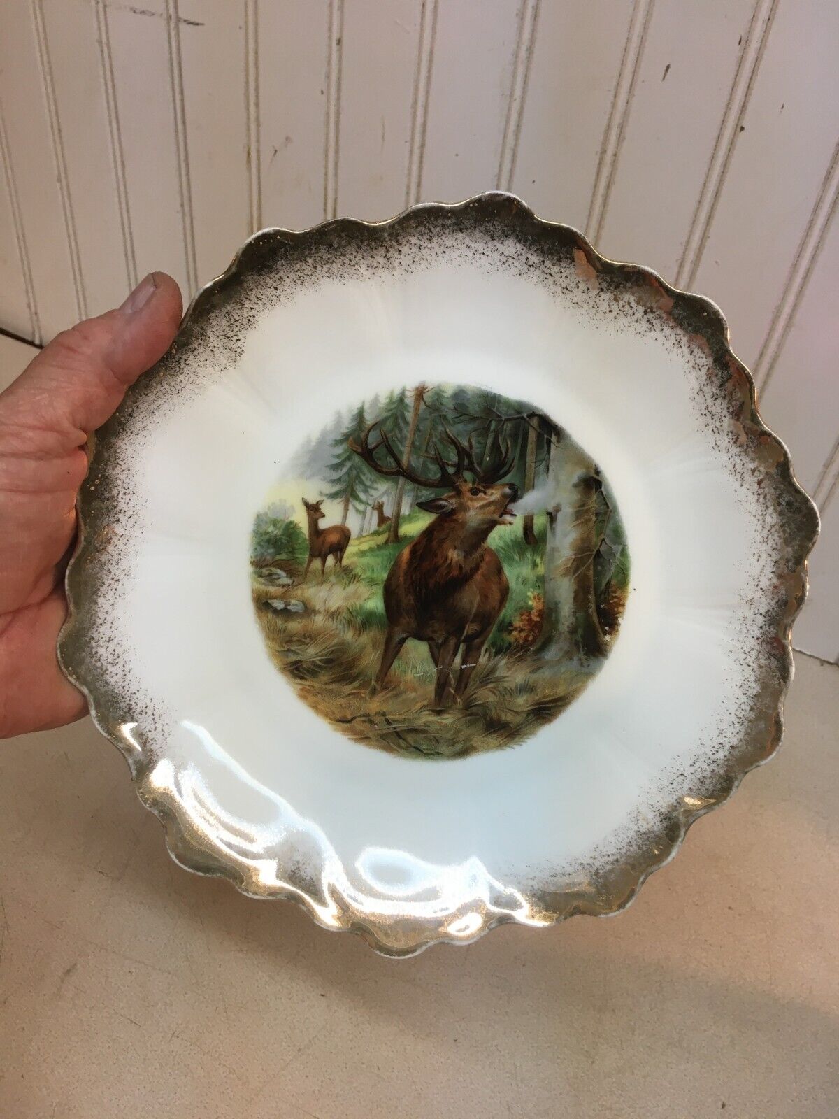 Vintage Buffalo China Plate Wild Game Mule Dear Moose 9in Diner Plate
