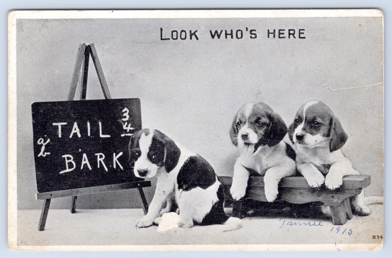 c1915 Look Who\'s Here Vintage Puppy Dog Postcard