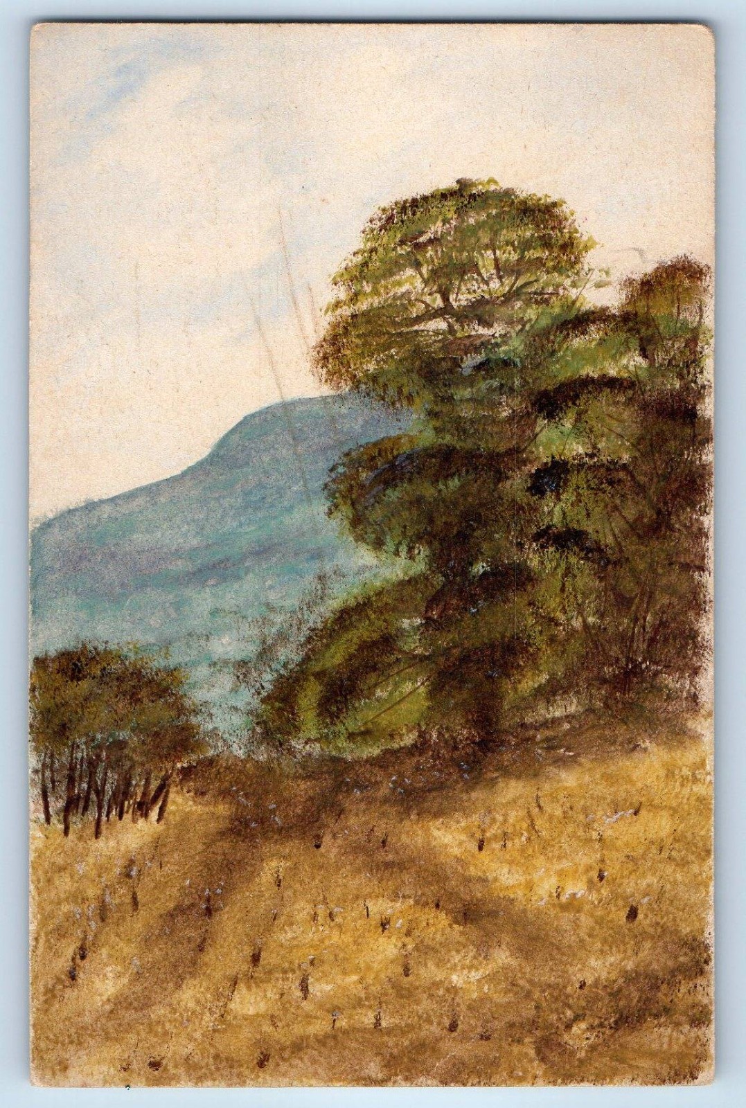 c1910's Trees And Mountain Scene Hand Drawn Art Unposted Antique Postcard c1910's Trees And Mountain Scene Hand Drawn Art Unposted Antique Postcard