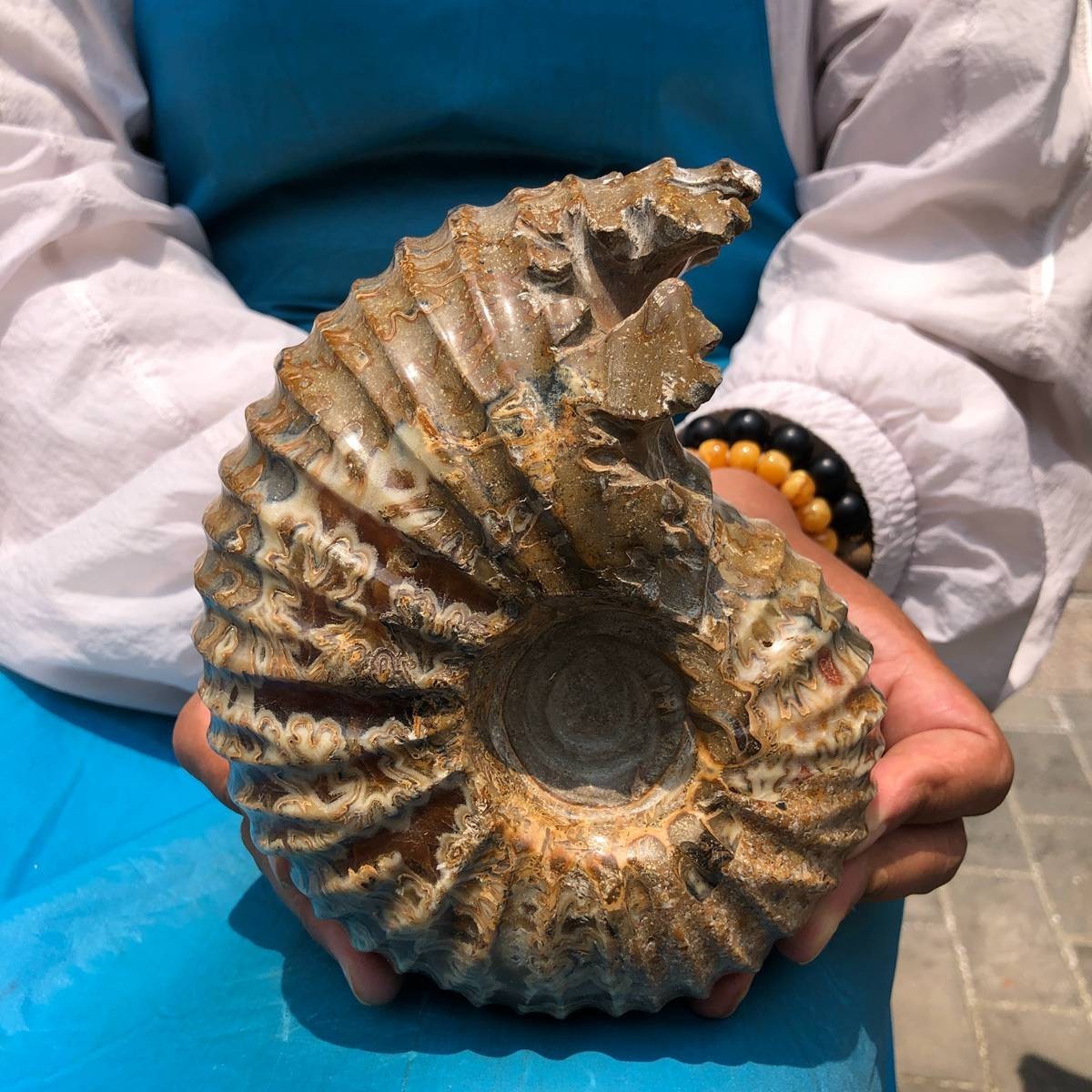 5.12LB Top Natural Horn Screw Fossil Ammonite Conch Crystal Specimen Healing 5.12LB Top Natural Horn Screw Fossil Ammonite Conch Crystal Specimen Healing