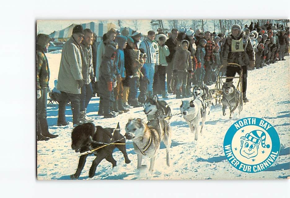 Postcard International Dog Sled Derby North Bay Winter Fur Carnival Canada