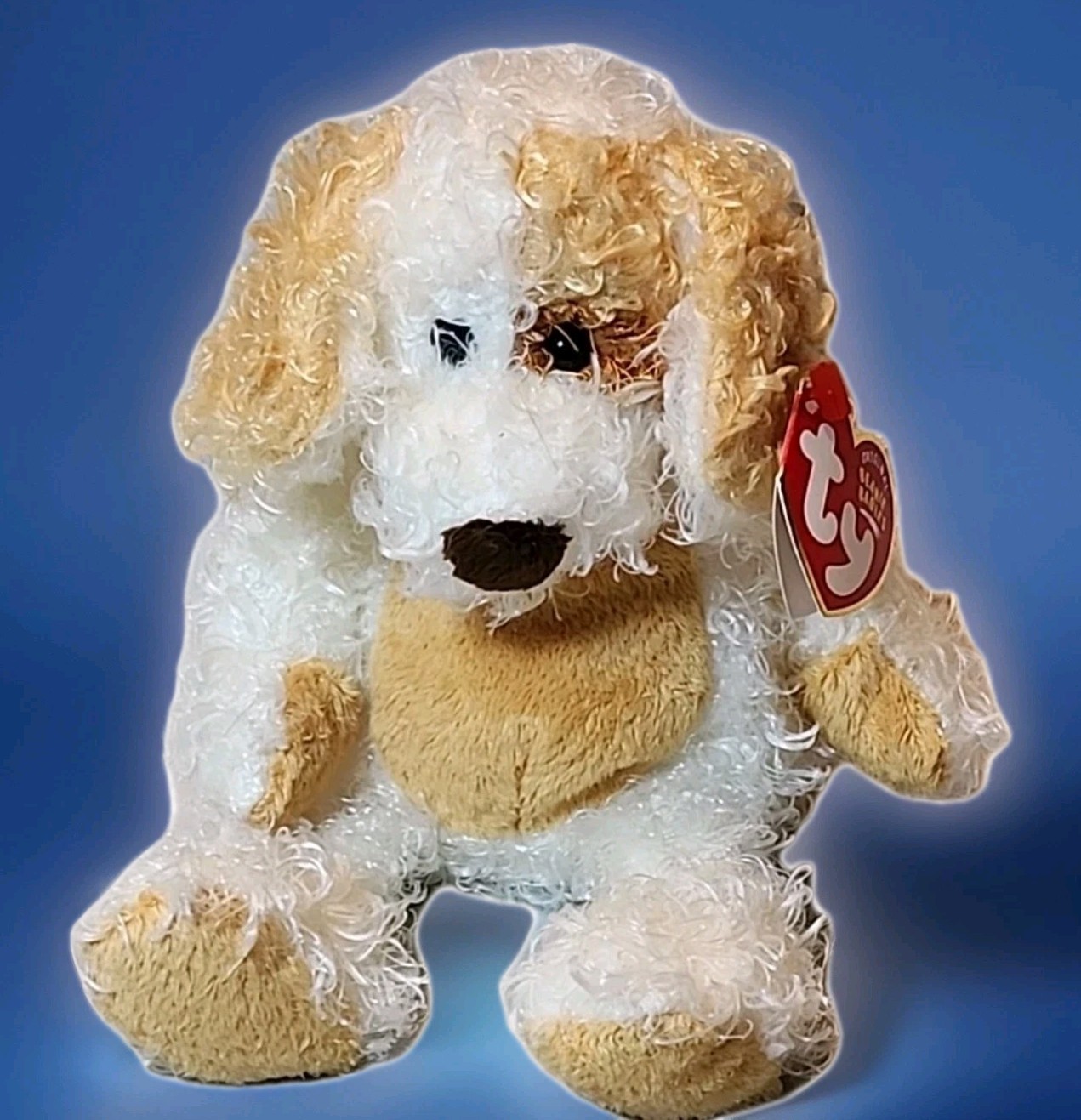 Rare Vintage 2004 Ty Beanie Baby Diggs the scruffy white & tan Dog 7