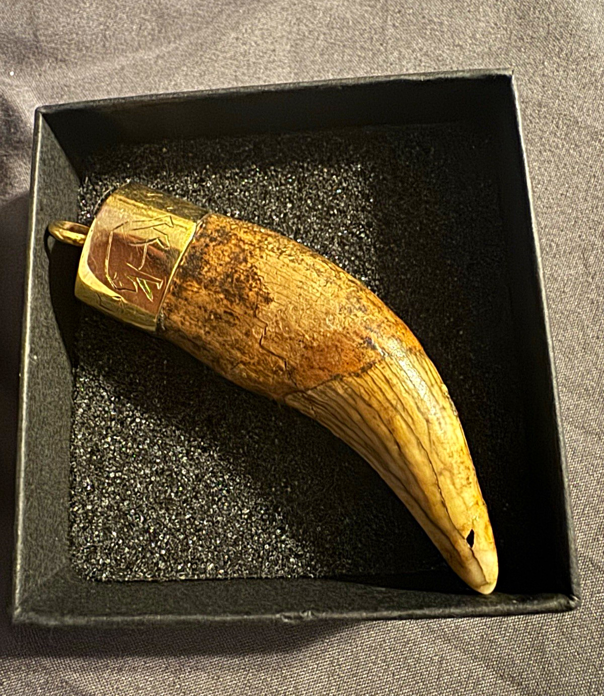 Ice Age Bear Fossil Mammal Canine Tooth Pendant 14k solid gold Tested Engraved Ice Age Bear Fossil Mammal Canine Tooth Pendant 14k solid gold Tested Engraved