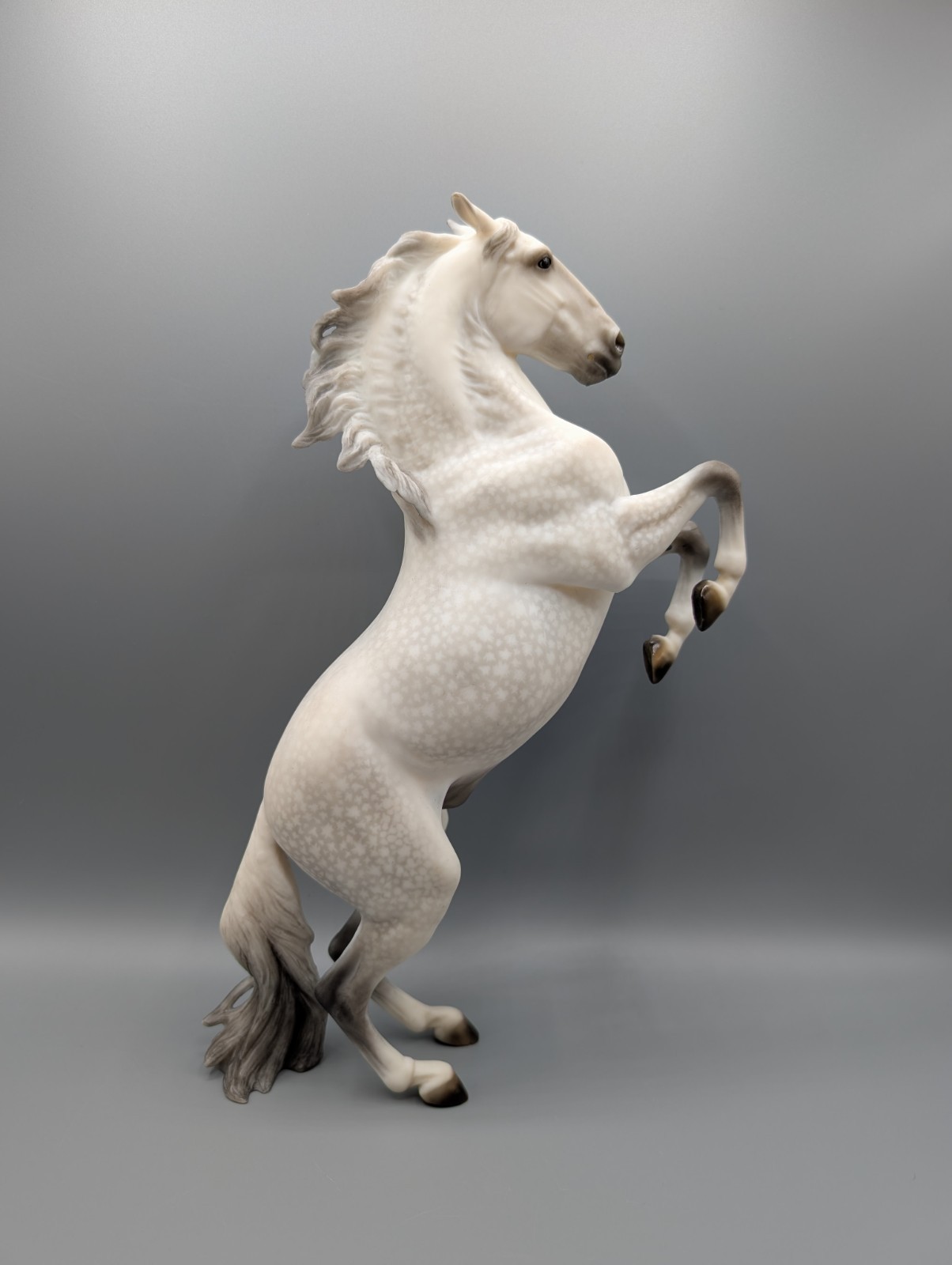 Breyer Traditional Horse • Custom Faux OF Adonis • CM Dappled Grey Lipizzaner Breyer Traditional Horse • Custom Faux OF Adonis • CM Dappled Grey Lipizzaner