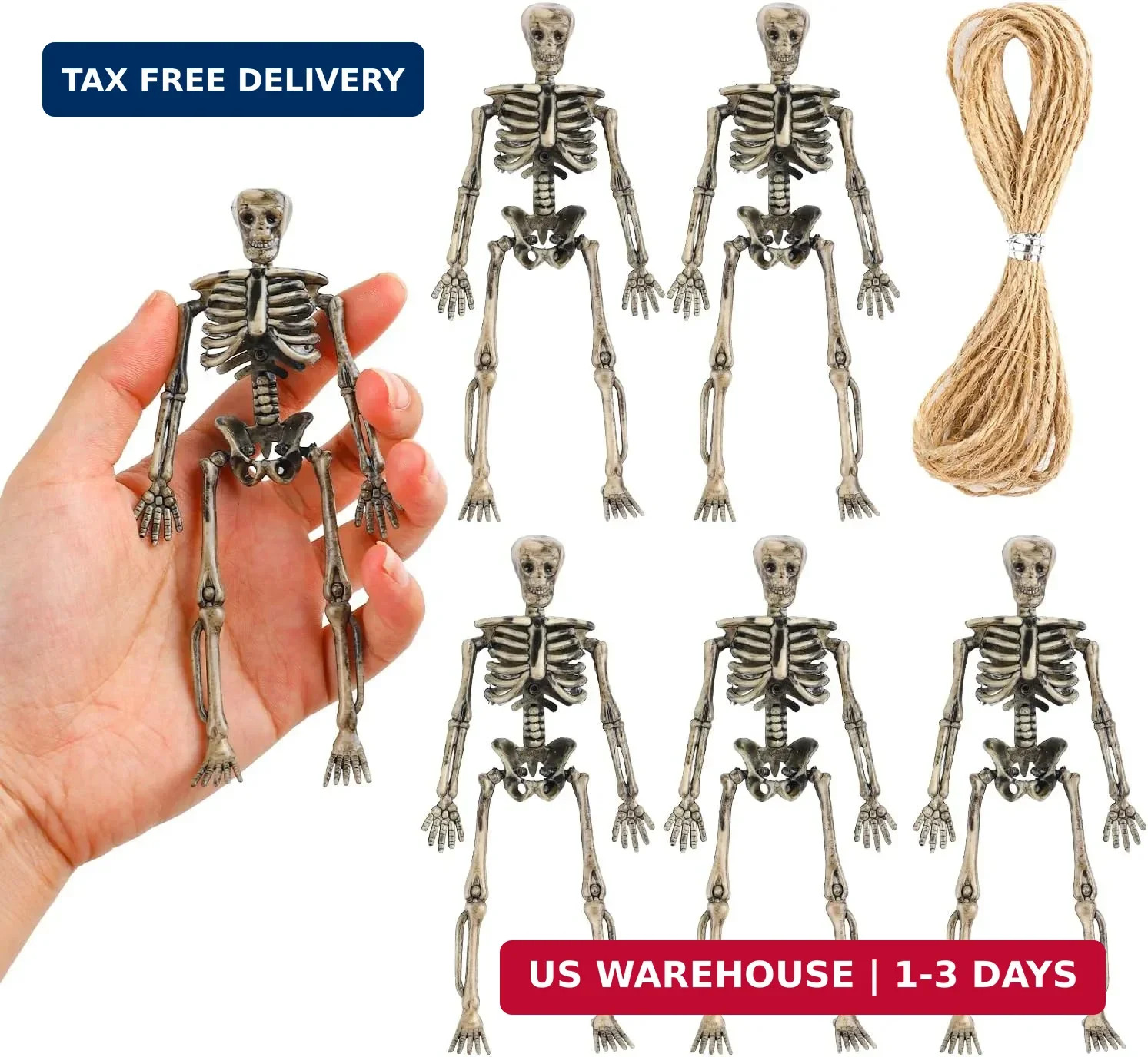 Small Skeleton Figurine 6 Inches,6 Pieces Plastic Skeletons Mini Poseable Skelet Small Skeleton Figurine 6 Inches,6 Pieces Plastic Skeletons Mini Poseable Skelet
