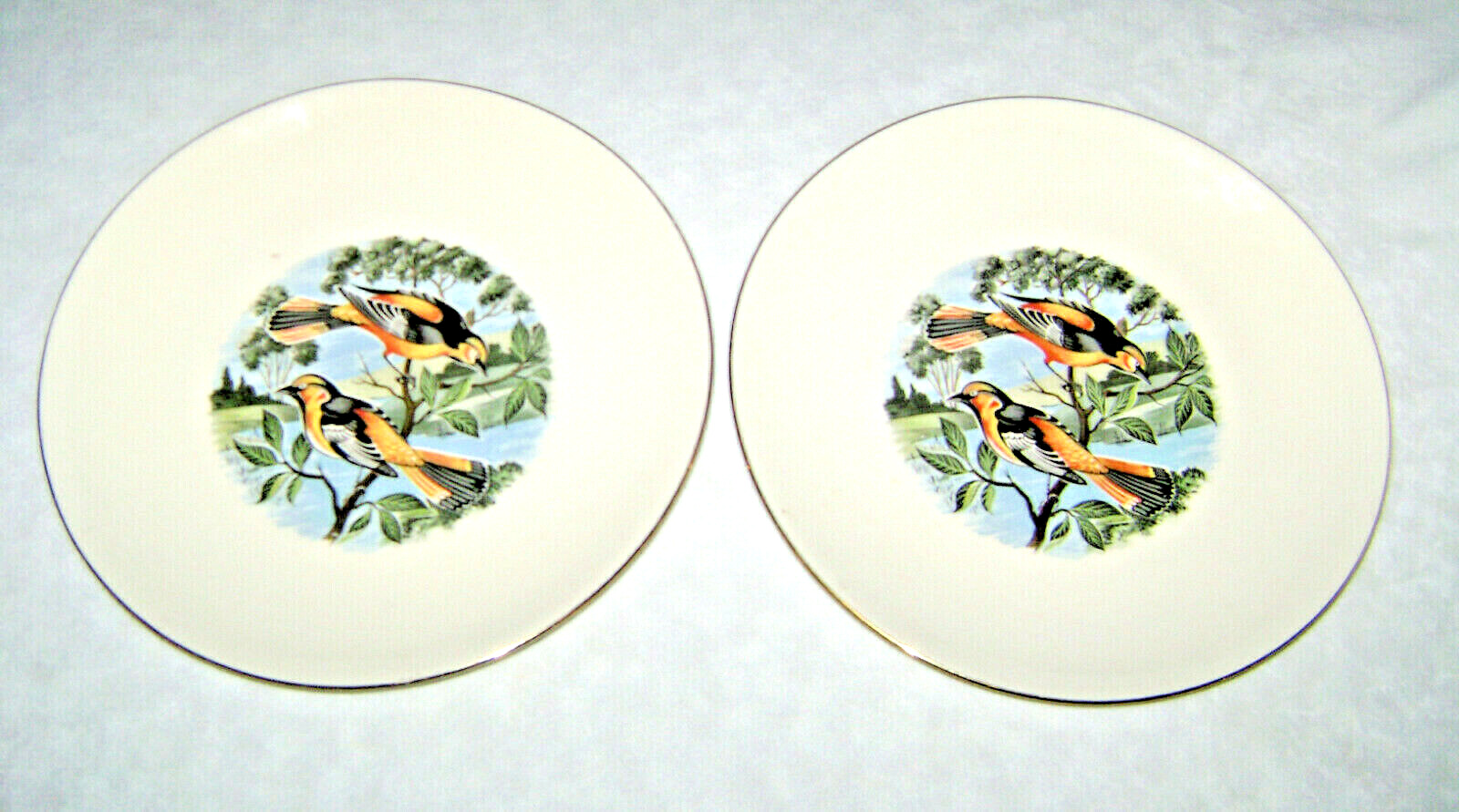 1950\'s Pair of Baltimore Oriole Bird Dinner Plates by Homer Laughlin