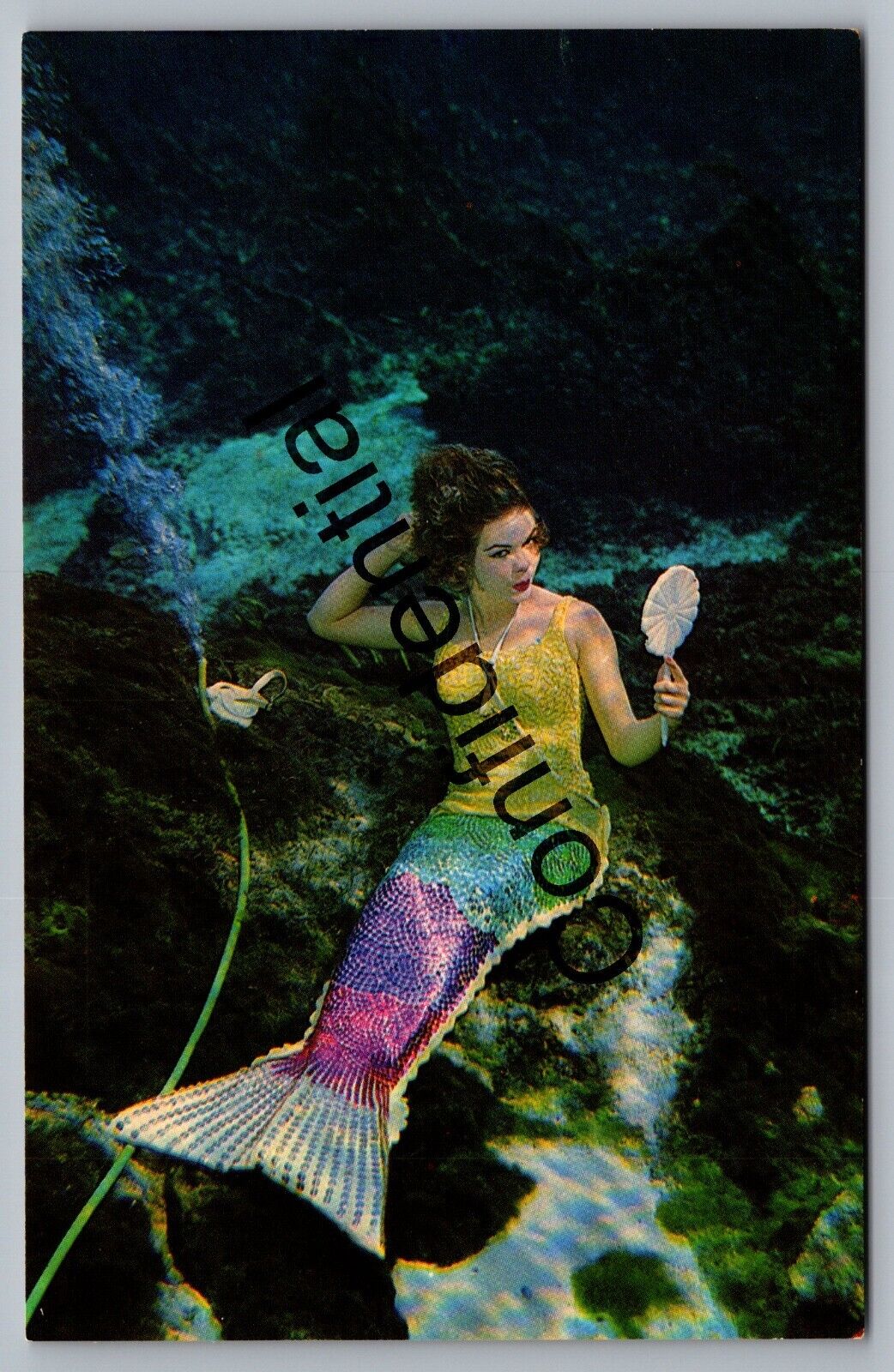 Underwater Mermaid w/ Hand Mirror Weeki Wachee FL Florida Roadside Postcard H275