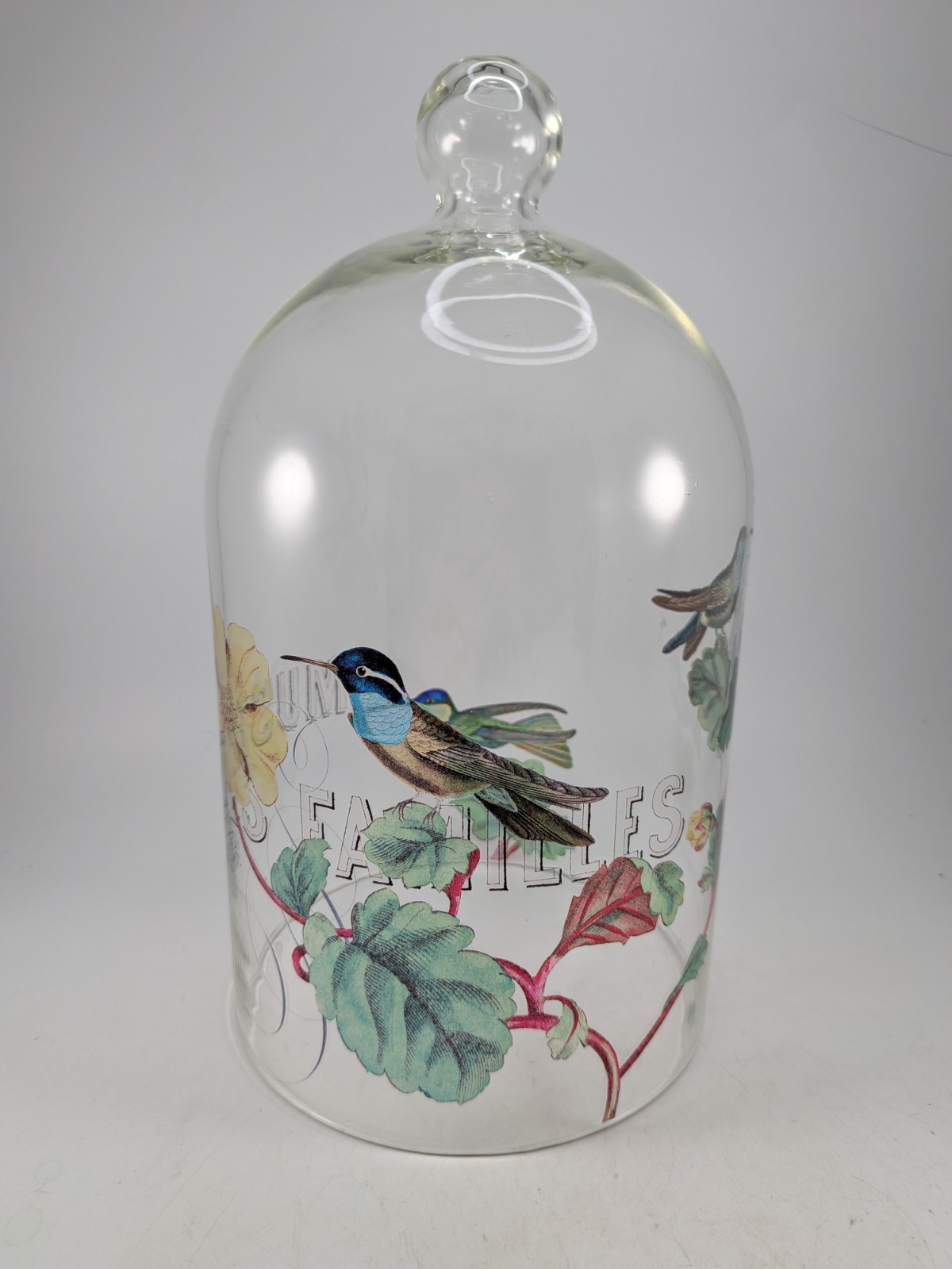 Large Vintage Clear Glass Bell Jar Dome Cloche with Top Knob Hummingbirds 11\ Large Vintage Clear Glass Bell Jar Dome Cloche with Top Knob Hummingbirds 11\