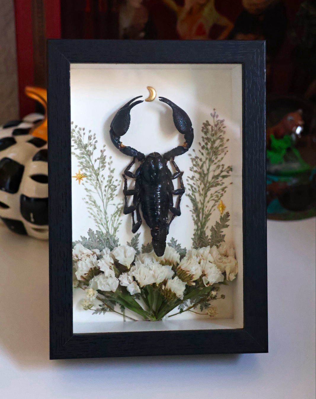 Real Emperor Scorpion Celestial Floral Shadow Box | Handmade Gothic Art Real Emperor Scorpion Celestial Floral Shadow Box | Handmade Gothic Art