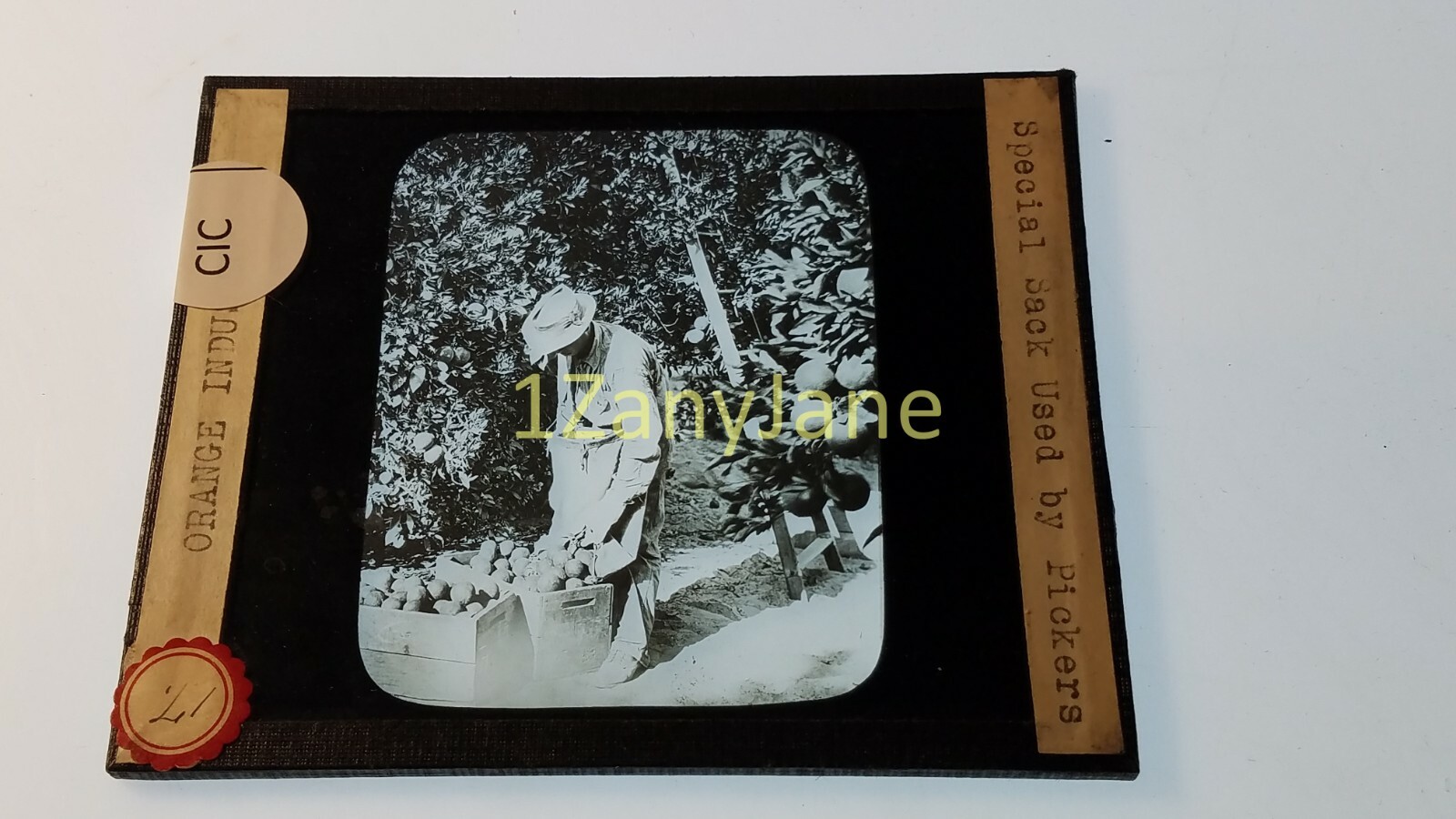 CIC HISTORIC Magic Lantern GLASS Slide SPECIAL SACK USED BY ORANGE PICKERS CIC HISTORIC Magic Lantern GLASS Slide SPECIAL SACK USED BY ORANGE PICKERS
