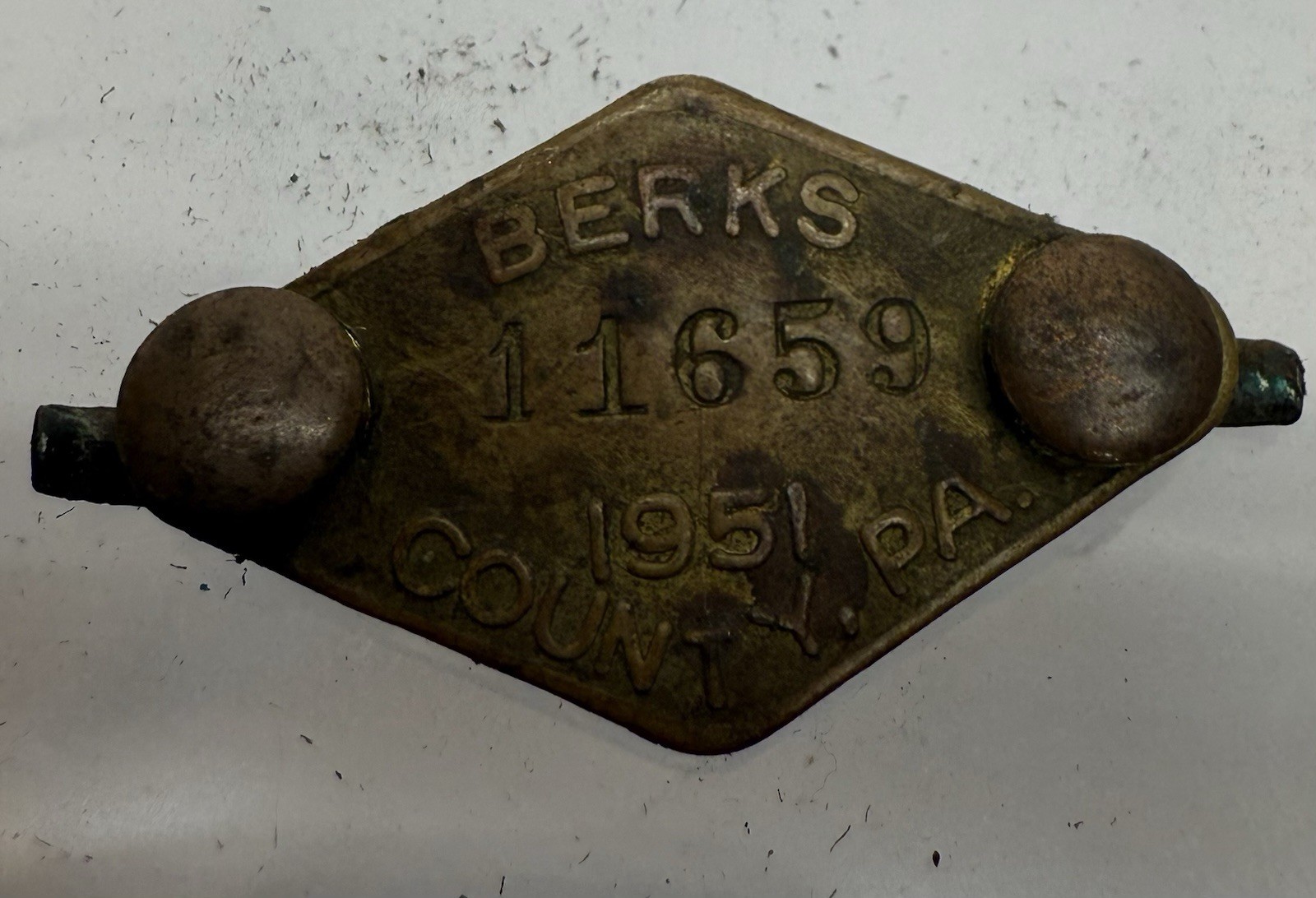 Old Vintage Pennsylvania Vintage 1951 Berks County Pa Brass Dog Tag Tax License Old Vintage Pennsylvania Vintage 1951 Berks County Pa Brass Dog Tag Tax License
