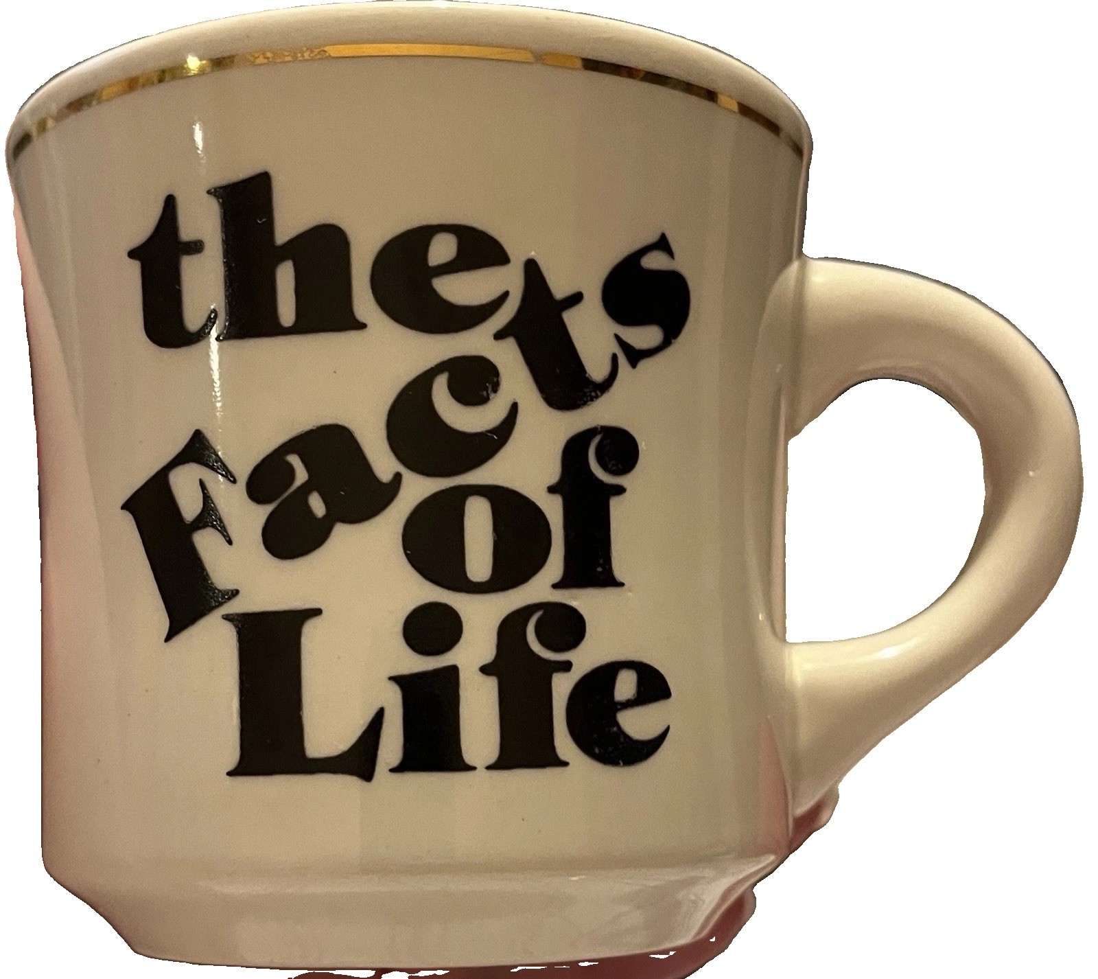Vintage the Facts of Life mug Charlotte Rae cast/crew made in England Very RARE Vintage the Facts of Life mug Charlotte Rae cast/crew made in England Very RARE