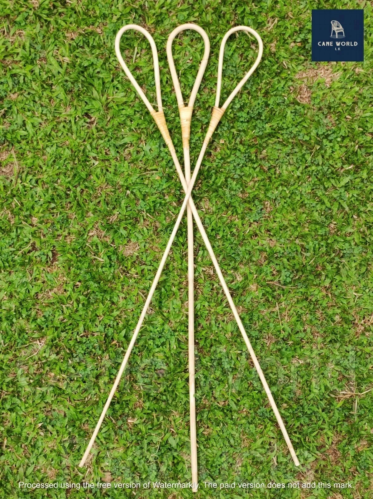 2pc Rattan Cane Scholastic sticks High Quality (size Big 0.7 - 1 cm) 2pc Rattan Cane Scholastic sticks High Quality (size Big 0.7 - 1 cm)