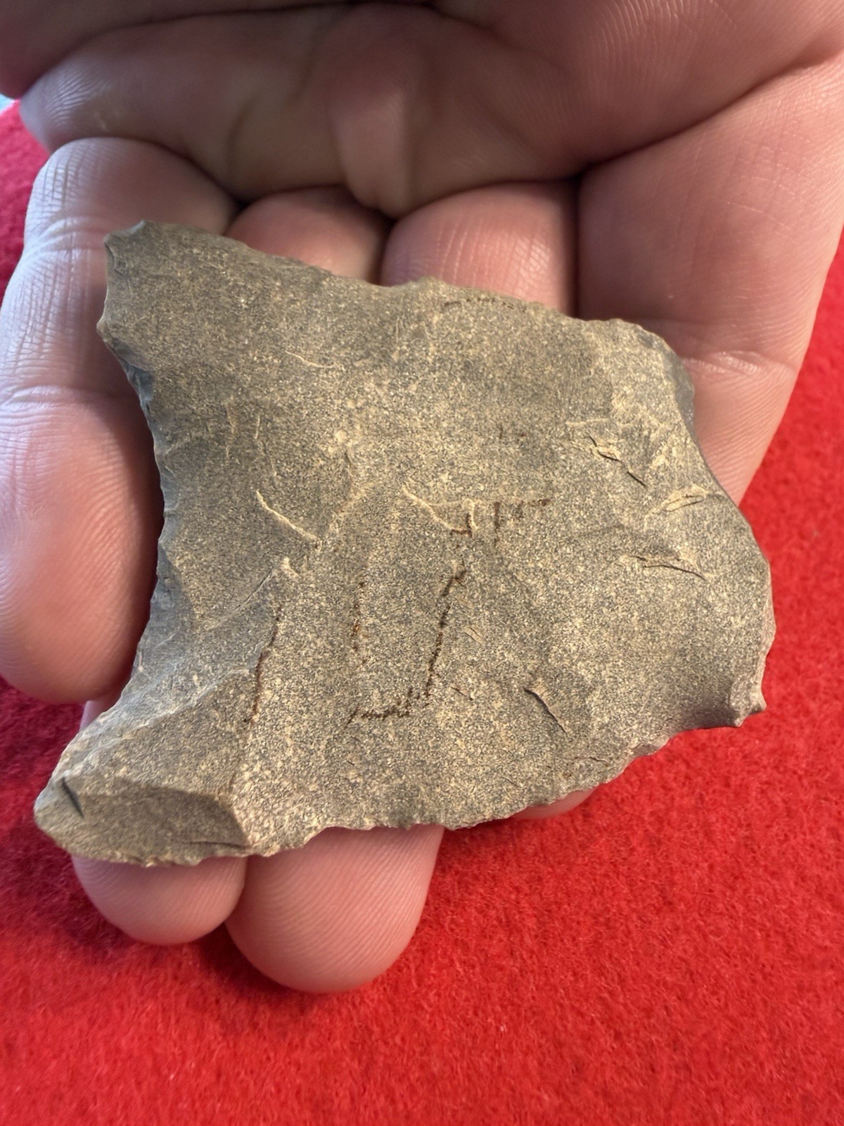 Arrowheads,paleo Base,dalton,haw River. 2&5/16in. H.Allen Collection NC
