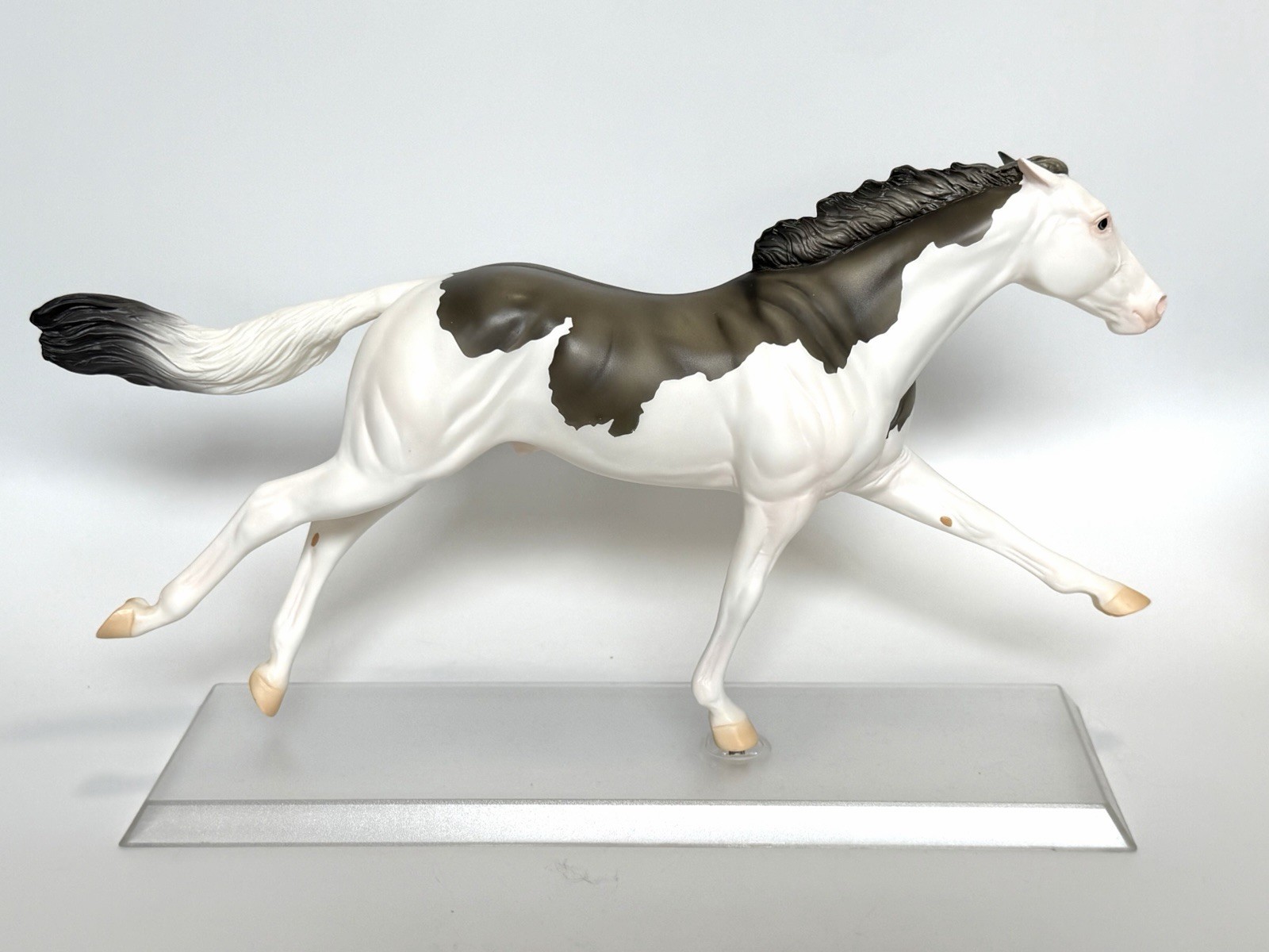 Breyer 2021 True Blue Event HOME AND AWAY Ruffian Grullo Pinto 52 Made RARE Breyer 2021 True Blue Event HOME AND AWAY Ruffian Grullo Pinto 52 Made RARE