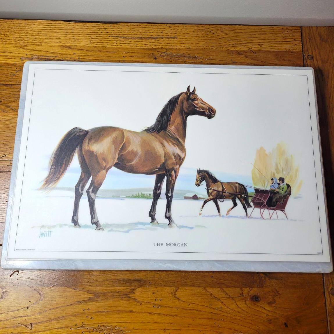 6 Vintage 1965 Sam Savitt Horse Breed Placemats Laminated Equestrian 6 Vintage 1965 Sam Savitt Horse Breed Placemats Laminated Equestrian