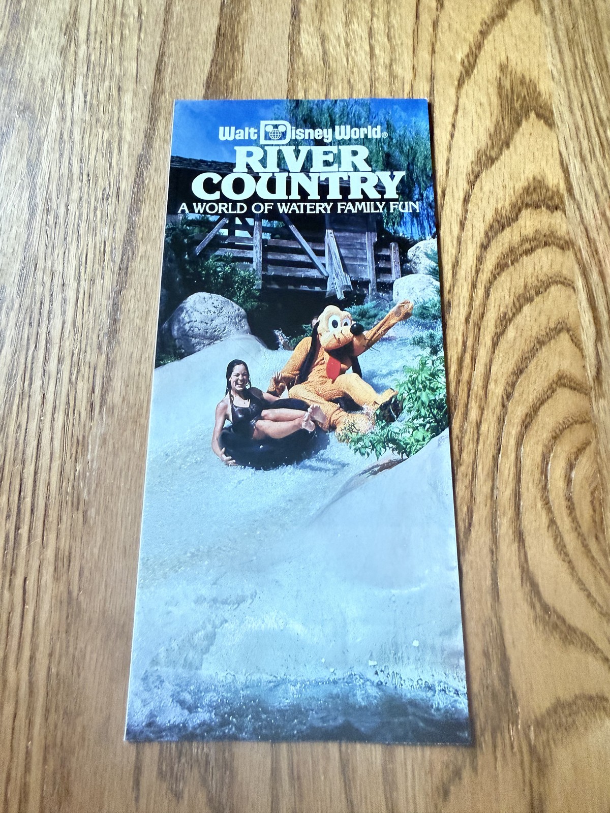 Vintage 1985 Walt Disney World River Country Guide Brochure Pluto Water Park