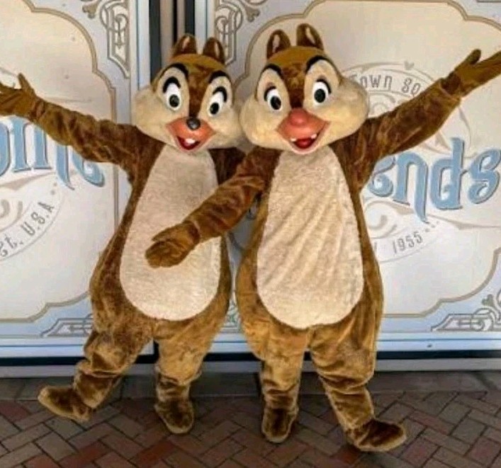 DISNEYLAND CHIP & DALE CHIPMUNK CAST MEMBER CHARACTER COSTUME FOOT DISNEYLAND CHIP & DALE CHIPMUNK CAST MEMBER CHARACTER COSTUME FOOT