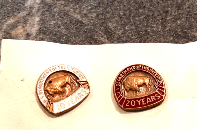 2 VTG U.S. DEPARTMENT OF THE INTERIOR PIN 10 & 20 YEAR BUFFALO & ENAMEL EXCELLEN