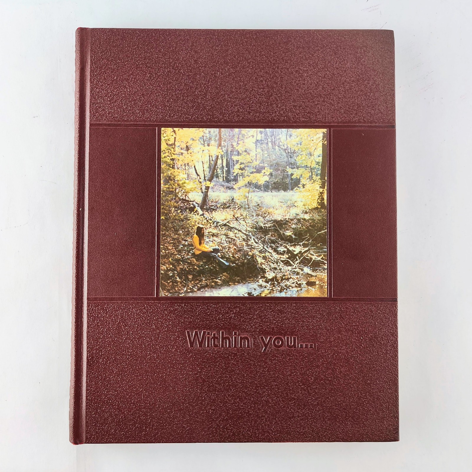 1973 Holland Christian High School Yearbook Footprints Michigan MI Year Book 1973 Holland Christian High School Yearbook Footprints Michigan MI Year Book