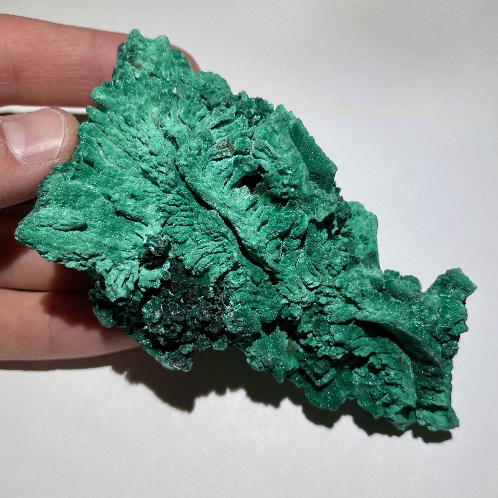 Rare 4.3” Museum Quality Fibrous Malachite Crystal Cluster 156g Specimen - Congo Rare 4.3” Museum Quality Fibrous Malachite Crystal Cluster 156g Specimen - Congo