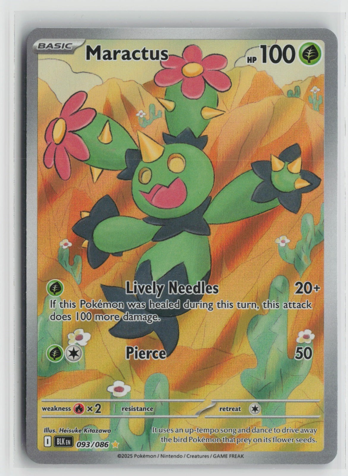Maractus Illustration Rare Holo BLK 093/086 NM Maractus Illustration Rare Holo BLK 093/086 NM