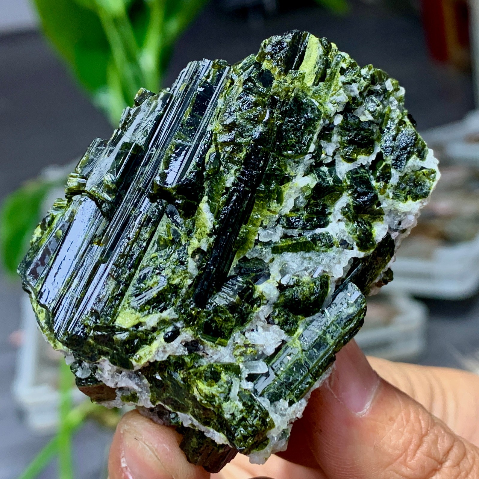 131G Natural green tourmaline quartz crystal cluster mineral specimen 131G Natural green tourmaline quartz crystal cluster mineral specimen