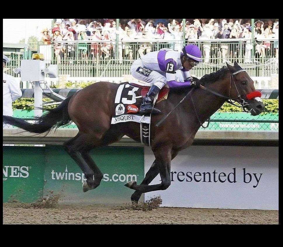 2016 Kentucky Derby Winner Nyquist PHOTO Horse Racing Churchill Downs 2016 Kentucky Derby Winner Nyquist PHOTO Horse Racing Churchill Downs
