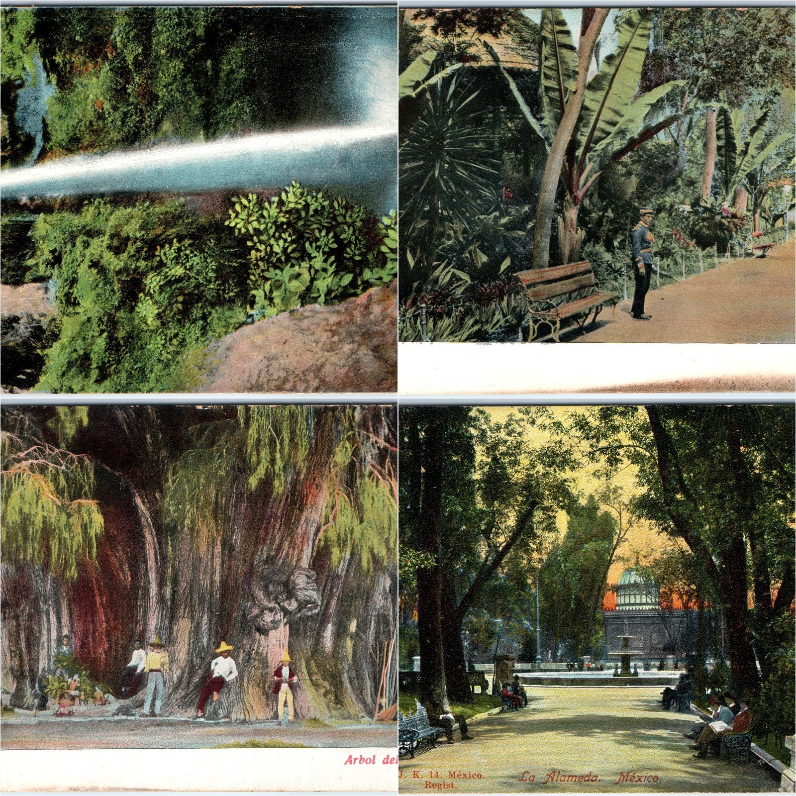 x4 LOT c1900s Mexico Postcards Alameda Park Soldier El Tule Cuernavaca Waterfall x4 LOT c1900s Mexico Postcards Alameda Park Soldier El Tule Cuernavaca Waterfall
