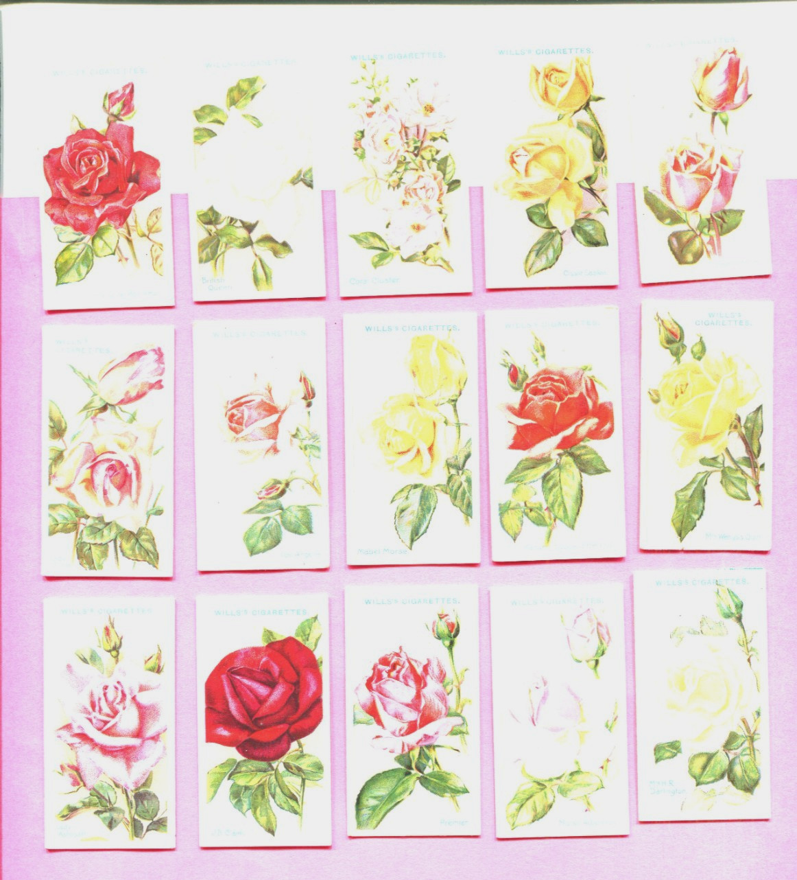 1926 W.D. & H.O. WILLS ROSES 15 DIFFERENT TOBACCO CARD LOT 1926 W.D. & H.O. WILLS ROSES 15 DIFFERENT TOBACCO CARD LOT