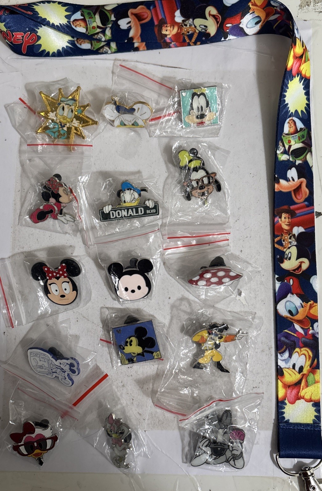 Disney FAB 5, Mickey, Minnie, Donald, Goofy, Daisy lot of 15 pins & Lanyard